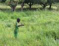 Sindou ( Burkina-Faso) A la pêche à la grenouille !