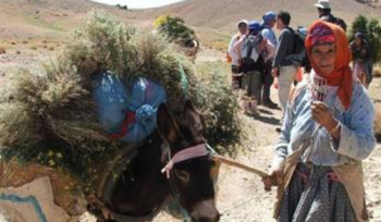 Le Maroc dans la Vallée Heureuse-Séjours participatifs et solidaires