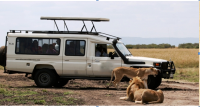 Kenya: rendez vous en terre Masaï-Option  parcs  et trek 