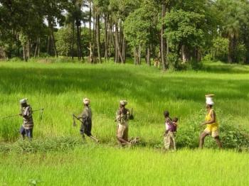 Sénégal (Casamance) - Guinée Bissau-