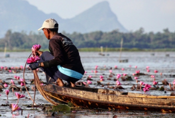 Thaïlande: le pays du Sourire -Merveilles du Sud