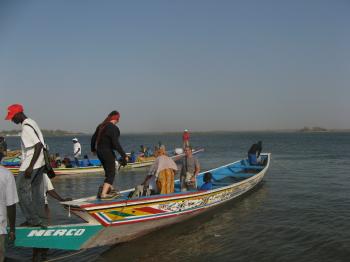 Sénegal: l'utile et l'agréable-Coeur de brousse et Saloum en pirogue